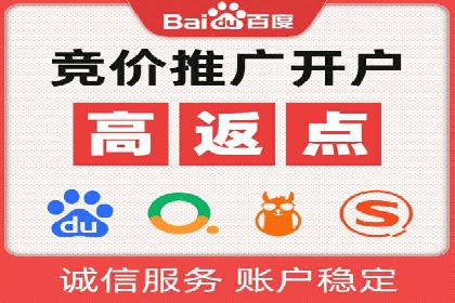 SEM代运营服务公司案例分析：数据驱动营销策略